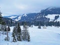 Mystical winter atmosphere in a coniferous forests on the Alpstein range in Appenzell Alps massif, EnnetbÃÂ¼hl or Ennetbuehl