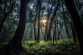 Mystique Moonlit Forest