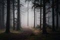 Narrow empty footpath in a dark mysterious forest on a foggy day in fall Royalty Free Stock Photo
