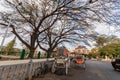 A colorful horse cart parked below large trees on the streets of the city of Mysore