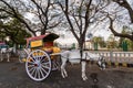 A colorful horse cart parked below large trees on the streets of the city of Mysore