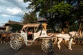 A colorful horse cart parked below large trees on the streets of the city of Mysore