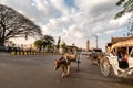 A man riding a horse cart on the streets of the city of Mysore Royalty Free Stock Photo