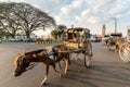 A man riding a horse cart on the streets of the city of Mysore Royalty Free Stock Photo