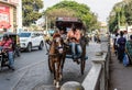 A man riding a horse cart on the streets of the city of Mysore Royalty Free Stock Photo