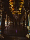 Mysuru palace inside view Royalty Free Stock Photo