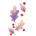 Mythic fall leaves and berry watercolor for decoration on Autumn seasonal. Royalty Free Stock Photo