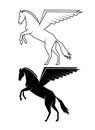 Mythical horse Pegasus on a white background