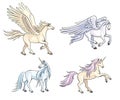 Mythical horses - vector illustration