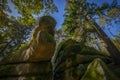 mythical stone giants and viklas and granit rockformation in Blockheide, natural reserve near Gmund, Austria