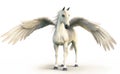 Mythical white Pegasus posing on white isolated background. Royalty Free Stock Photo