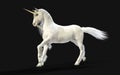 Mythical White Unicorn Posing with Clipping Path.