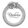 Uroboros Engraving Emblem Royalty Free Stock Photo