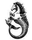 Mythological hippocampus animal