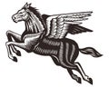 Mythological horse - flying pegasus with wings