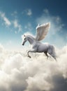 The mythological horse Pegasus, the patron saint of writers and poets, rides in the clouds in the sunlight bringing good luck to