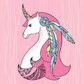 Mythological Unicorn with feathers. Legendary horse. The series of mythological creatures