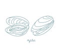 Mytilus genus edible mussels. Vector contour. Open paths. Editable stroke. Custom line thickness.