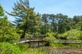 Mytoi Japanese Garden on Chappaquiddick Island