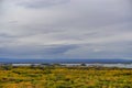 Myvatn, Iceland: A shallow lake situated in an area of active volcanism in the north of Iceland Royalty Free Stock Photo