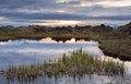 Myvatn lake at sunset - Iceland