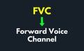 FVC Meaning, Forward Voice Channel Royalty Free Stock Photo