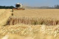 Combine harvester on grain field in the Salzkammergut Royalty Free Stock Photo