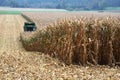 Combine harvester harvesting corn in Austria in autumn