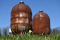 A lonesome daffodil with an industrial monument in the background