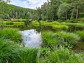 Lake in the forest MÃÂ¶serer See Austria Royalty Free Stock Photo