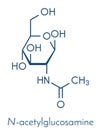 N-Acetylglucosamine NAG food supplement molecule. Skeletal formula.