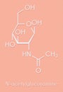 N-Acetylglucosamine NAG food supplement molecule. Skeletal formula. Royalty Free Stock Photo