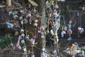 N this beautiful picture shows a pacifier tree where babies attach their pacifiers and receive a gift. The picture was