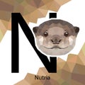 N letter animals set. English alphabet. Nutria Vector illustration. Colorful polygonal style. Nutria