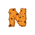 N letter cookies. Cookie font. Oatmeal biscuit alphabet symbol.