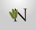N Letter With Green Banana Leaf, Tropical Alphabet Sign Design Concept