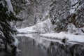 N the middle of the forest is a cliff with a reservoir of water Royalty Free Stock Photo