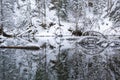 N the middle of the forest is a cliff with a reservoir of water Royalty Free Stock Photo