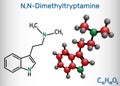 N,N-Dimethyltryptamine, dimethyltryptamine, DMT molecule. It is tryptamine alkaloid, indoleamine derivative, serotonergic