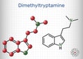 N,N-Dimethyltryptamine, dimethyltryptamine, DMT molecule. It is tryptamine alkaloid, indoleamine derivative, serotonergic