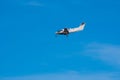 N51SZ, a Beechcraft Super King Air 200 twin-turboprop BE20 owned by Valley Oaks Air LLC,  descends for a landing at Van Nuys A Royalty Free Stock Photo