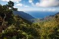 Na Pali Coast View from Pihea Trail to Alakai Swamp Royalty Free Stock Photo