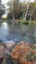 Israel Naaman river Royalty Free Stock Photo
