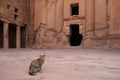 Nabataean Rock city of Petra, Urn Tomb emtrance, Jordan