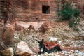 Nabatean donkey, Petra, Jordan Royalty Free Stock Photo