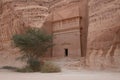 Nabatean tomb in Madain Saleh archeological site, Saudi Arabia Royalty Free Stock Photo