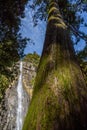 Nachi Falls Nachi no Taki in Nachikatsuura, Wakayama Prefecture of Japan second tallest Japanese waterfall