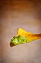 Nacho chips and dip Royalty Free Stock Photo