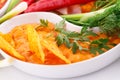 Nachos, cheese sauce, vegetables Royalty Free Stock Photo