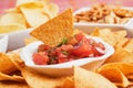 Nachos corn chip and fresh salsa